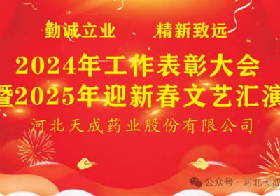 开云（中国）2024年工作总结暨2025年迎新春文艺汇演圆满结束